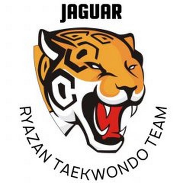 Рязанские тхэквондисты проведут матчевую встречу со спортсменами юга России